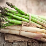 asperge gijnlim 10 asparagus gijnlim 10 asperge gijnlim 10 asparagus gijnlim 10